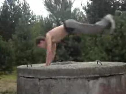 DVINSK CLAN SAUT DE CHAT